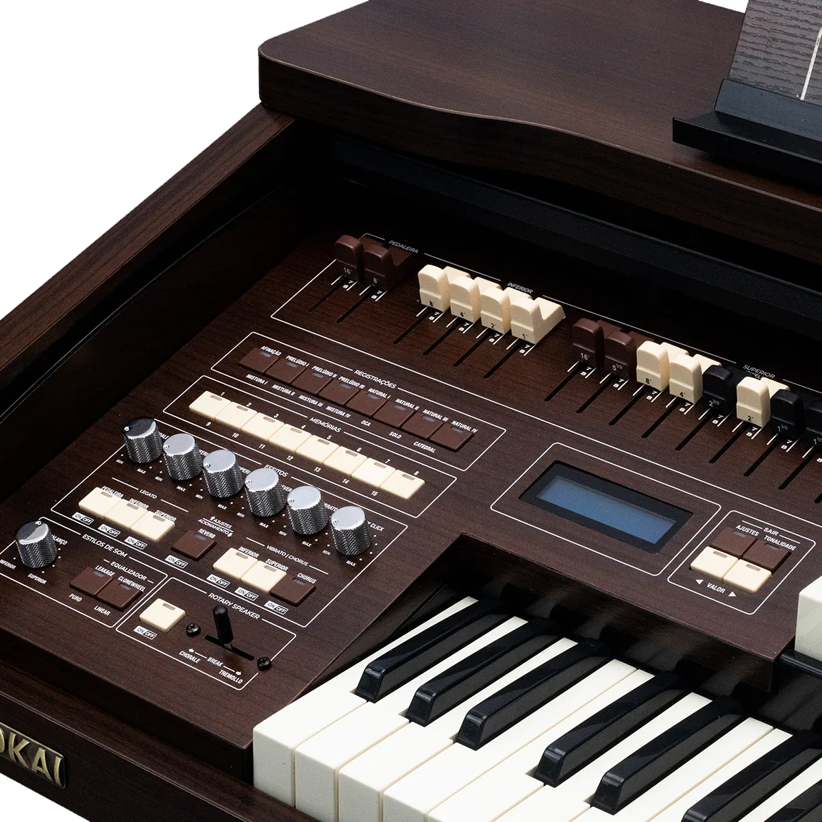 T1-SPINET — detalhe