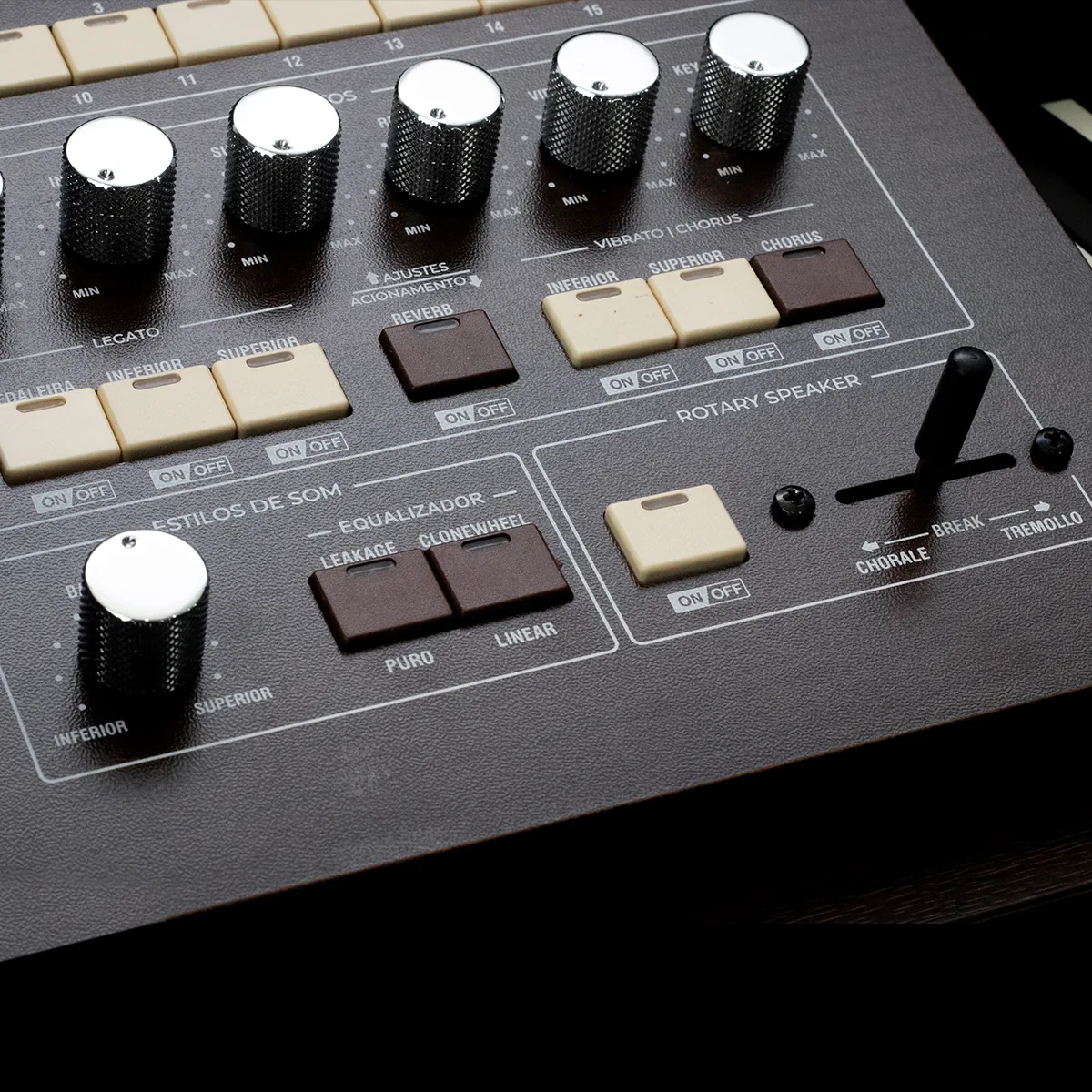 T1-SPINET — detalhe