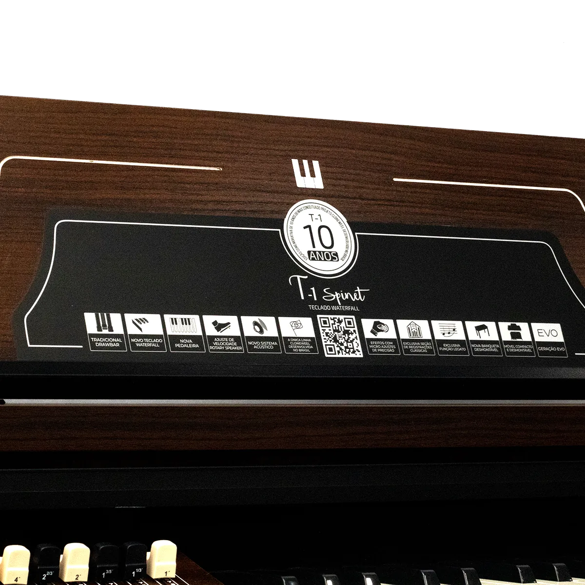 T1-SPINET — detalhe