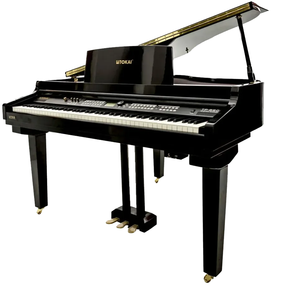 TP-88c — na cor preto